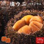 ふるさと納税 鹿部町 塩うに 160g (80g×2P) バフンウニ I07-4