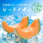 2027年産 赤肉メロン 約1.3kg×3玉