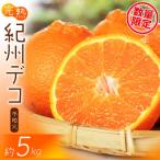 果肉プリプリ♪ 完熟紀州デコ 不知火 約5kg