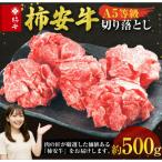 柿安本店 柿安牛 切落し 計500g