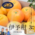 これぞ伊予柑 3kg