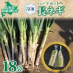 fu.... налог .. озеро блок Hokkaido производство .. озеро окраина длина лук порей 1/ 2 шт ×18 пакет разрезанный рефрижератор 