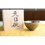 曜変天目茶碗 請関天目 E007