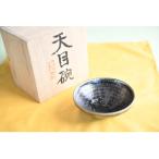 曜変天目茶碗 請関天目 E006