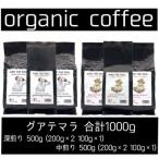 AND THE SOIL.オリジナル焙煎オーガニックコーヒー豆GUA深…