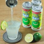 すだち微炭酸 250ml×30本