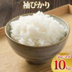 令和8年産 袖ぴかり コシヒカリ 精米 10kg