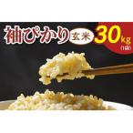 令和8年産 袖ぴかり コシヒカリ 玄米 30kg