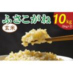 令和8年産 ふさこがね 玄米 10kg