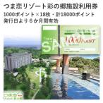 つま恋リゾート彩の郷施設利用券 18000ポイント