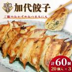 冷凍生加代餃子 1パック
