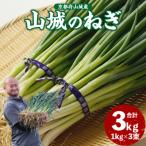 fu.... налог дерево Цу река город столица овощи гора замок. лук порей 3kg