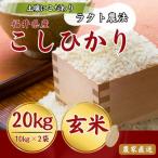 令和8年産 こしひかり玄米20kg ラクト農法