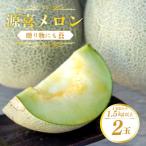 野木源の源喜メロン2玉 青肉 ネットめろん