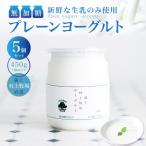 無加糖プレーンヨーグルト450g×5個セット