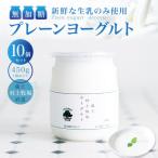 無加糖プレーンヨーグルト450g×10個セット