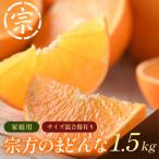 宗方のまどんな 約1.5kg