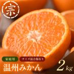 宗方印 温州みかん 約2kg