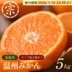 宗方印 温州みかん 約5kg