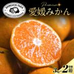 五代目が厳選した愛媛みかん 3kg×2箱