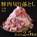 ふるさと納税 三股町 宮崎県産豚肉切り落とし2.5kg(250g×10) 真空パック(三股町)【MI448】