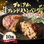 ふるさと納税 戸田市 【レンジ対応】プレミアム牛ブレンドハンバーグ10個セットソース付き