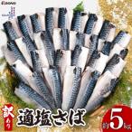 訳あり 適塩さば 約5kg