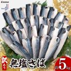 鯖 訳あり 5kg