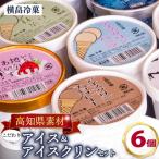高知名物 アイスクリンとふるさとの味アイス6個セット