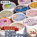 高知名物 アイスクリンとふるさとの味アイス24個セット