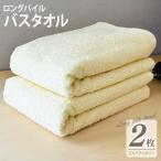 ロングパイルバスタオル2枚セット スレイトグレー