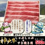 ふるさと納税 養父市 神戸牛 しゃぶしゃぶ & すき焼き用  計500g YBS2 【2026年4月より順次発送】