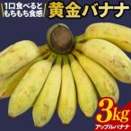 琉球黄金バナナ約3kg