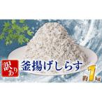 訳あり 釜揚げしらす 約1kg