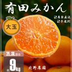 有田みかん 和歌山 訳あり 大玉 2L
