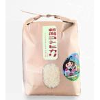 ふるさと納税 糸魚川