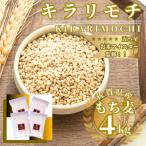 ふるさと納税 佐賀県 キラリモチ4kg『もち麦』(1kg×4袋)(佐賀県)