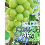 ふるさと納税 南アルプス市 先行予約　2026年発送分　クール便で新鮮にお届け!シャインマスカット　4〜6房(計3kg)