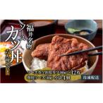 ソースカツ丼セット 6人前