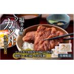 ソースカツ丼セット 9人前
