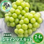 ショッピングふるさと納税 シャインマスカット ふるさと納税 山梨市 2026年先行受付【見た目は訳あり?味は満足!】農福連携シャインマスカット計1kg【ご家庭用】