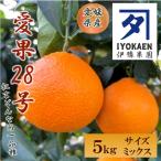 愛果28号 5kg