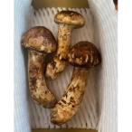 fu.... налог маленький различные город сосна . примерно 500g