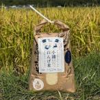 ふるさと納税 日高町 2025年(令和7年)産!日高町小浦の無洗米「小浦れんげ米」10kg