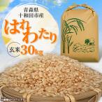 ふるさと納税 十和田市 【令和7年産】青森県産はれわたり30kg(玄米)