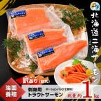 ショッピングふるさと納税 訳あり ふるさと納税 八雲町 【訳あり】【数量限定】北海道二海サーモン 刺身用 約1kg(500×2) トラウトサーモン　海鮮