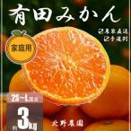 訳あり 有田みかん 和歌山 2S~Lサイズ混合
