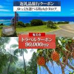 ふるさと納税 奄美市 【奄美大島ツアー後から選べる旅行Web…
