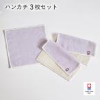 今治タオル キャンバスタオル ハンカチ 3枚セット