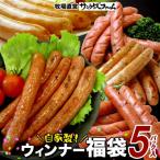 自家製 お楽しみウインナー 5種セット